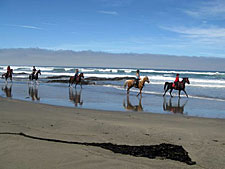 USA-California-Redwood Coast Ride